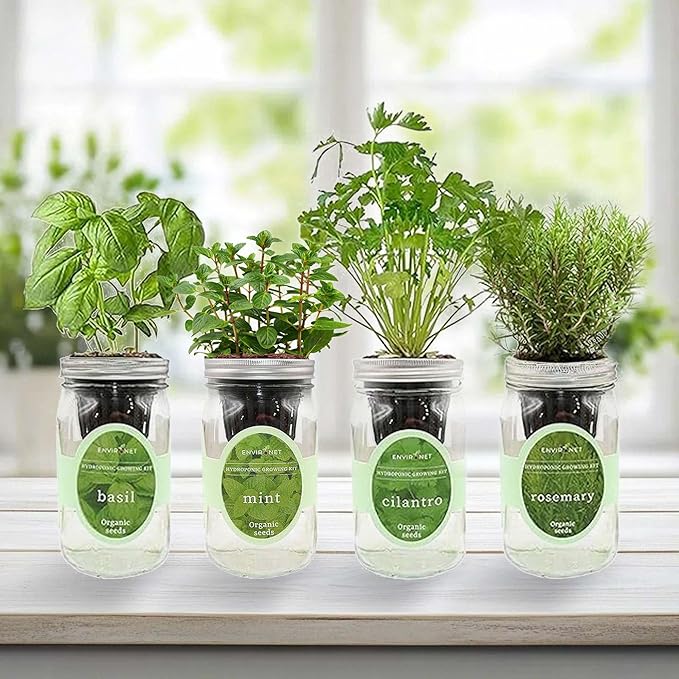 Hydroponic Herb Growing Kit Set Self-Watering Mason Jar Herb Garden Starter Kit Indoor Grow 4 Kinds of Herbs from Seeds (Basil Mint Cilantro &amp Rosemary)