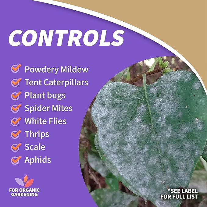 Bonide Insecticidal Soap 32 oz Ready-to-Use Spray Multi-Purpose Insect Control for Organic Gardening Indoor and Outdoor- Pack of 2