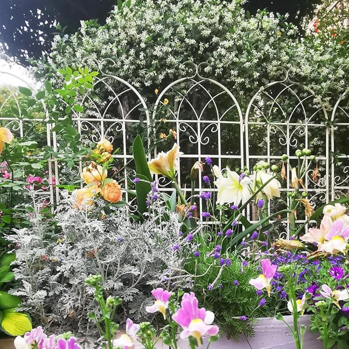 2 Pack Metal Garden Trellis 71 Inch Tall x 19.7 Inch Wide Black Rust Resistant Plant Support for Climbing Vegetables and Flowers (2 Pack-Cream White)