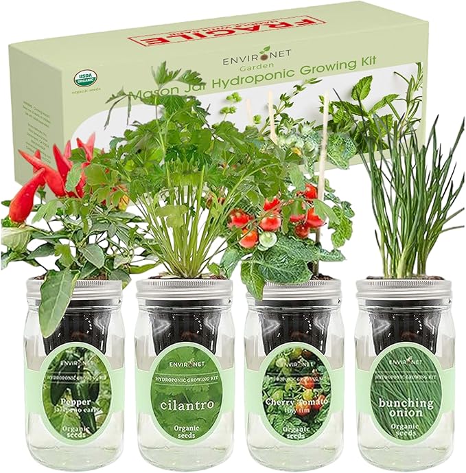 Hydroponic Mason Jar Indoor Garden Organic Seed Starter Kits - Zesty Salsa Growing Kits Gardening Gift (Jalapeno Pepper Cilantro Cherry Tomato - Tiny Tim Bunching Onion)