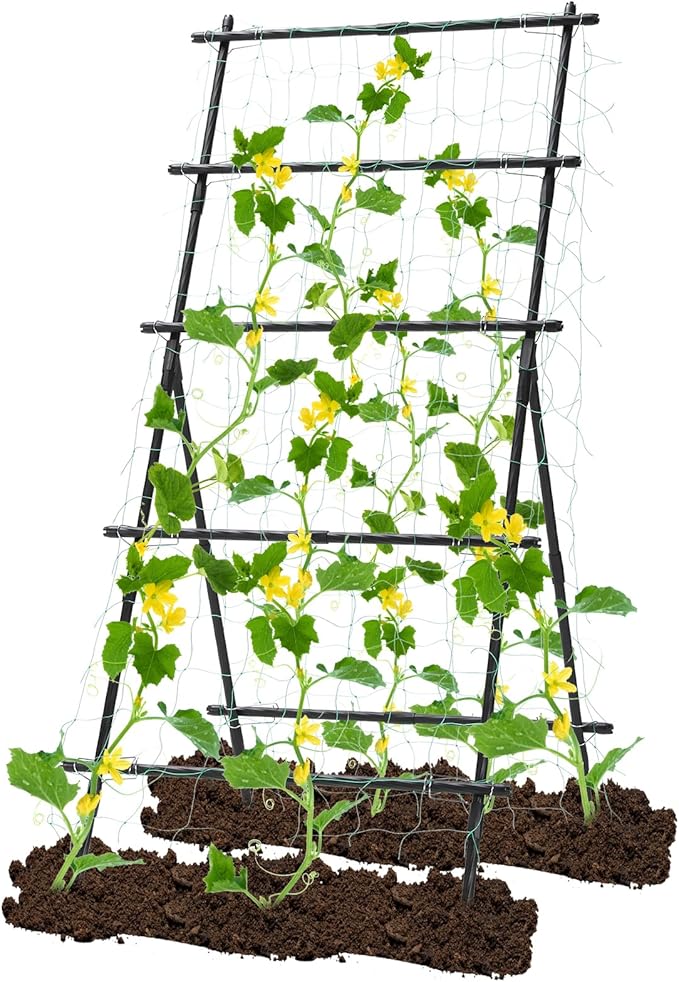 Garden Trellis for Climbing Plants 6ft Cucumber Trellis for Raised Bed Pea Grape Vine Tomato Trellis Cattle Panel A Frame Vegetable Plant Support Outdoor for Backyard Black