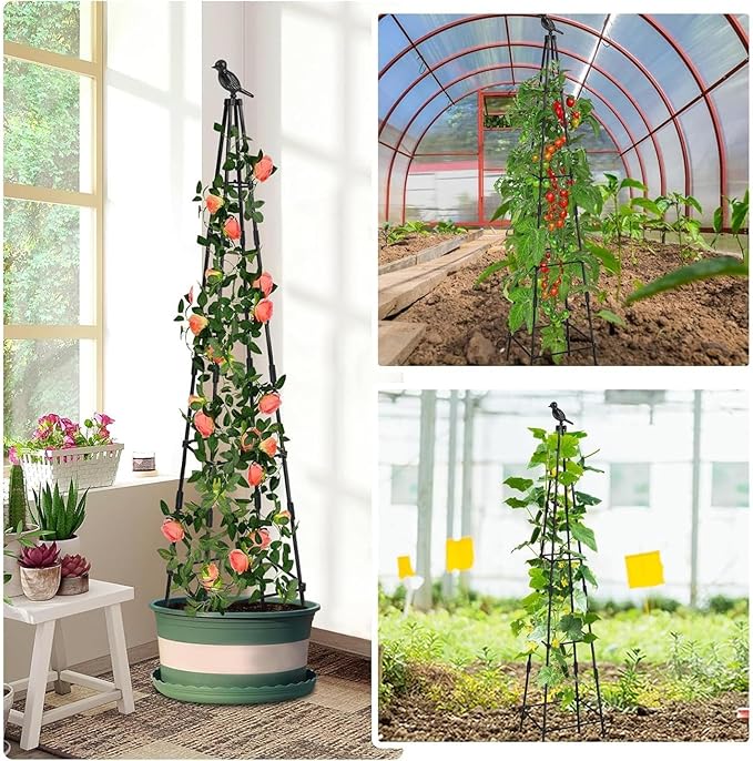 Trellis for Climbing Plants | Metal Obelisk Vertical Frame | 160cm Climbing Potted Garden Trellisfor Tomato Grape Cucumber Pea Vines Vegetable Flower Potted Indoor Outdoor