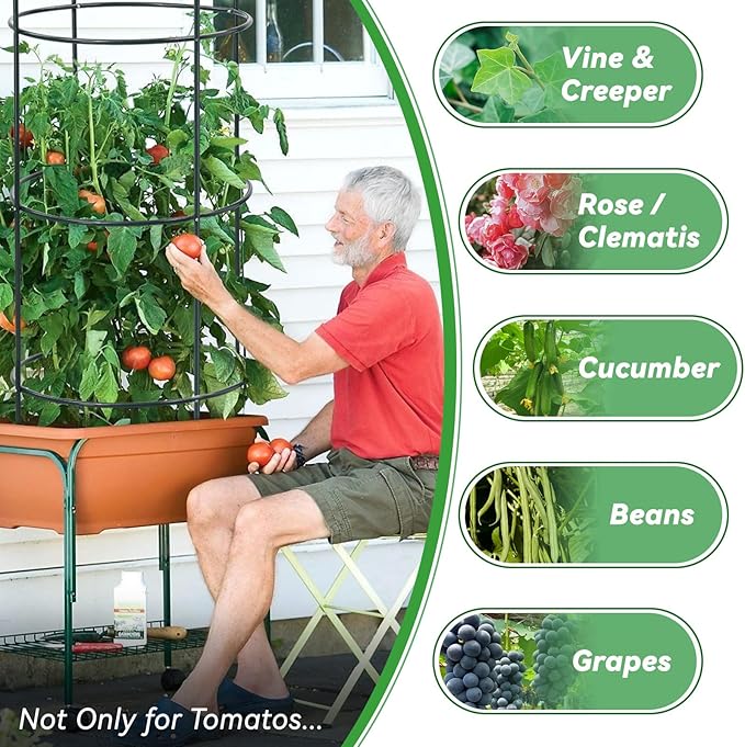 Large Trellis Garden Obelisk Trellis for Climbing Plants Outdoor 55 Metal Trellises for Tomato Cucumber Clematis Rose Vine Support Heavy Duty Round Cage Stand for Grow Bag Raised Bed Yard 2 Pack