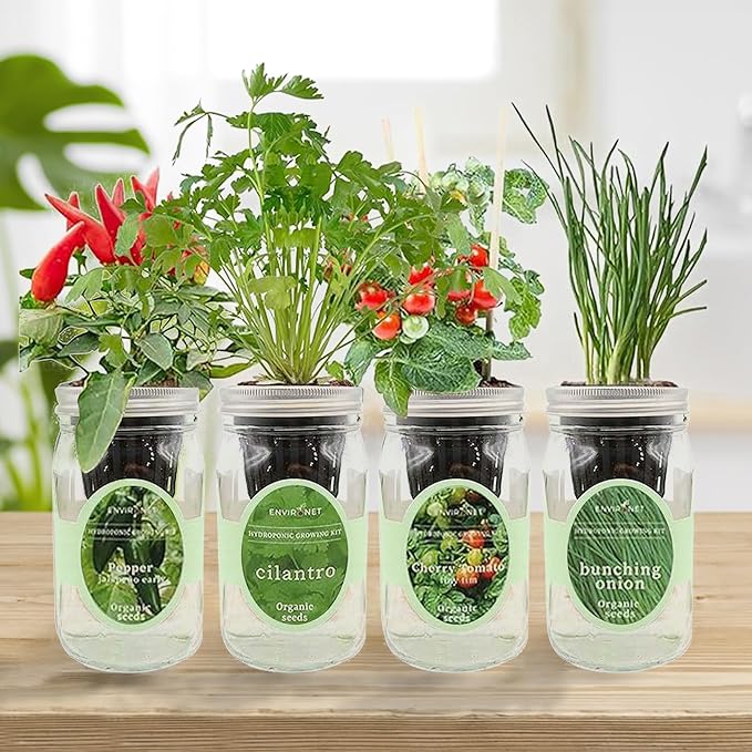 Hydroponic Mason Jar Indoor Garden Organic Seed Starter Kits - Zesty Salsa Growing Kits Gardening Gift (Jalapeno Pepper Cilantro Cherry Tomato - Tiny Tim Bunching Onion)