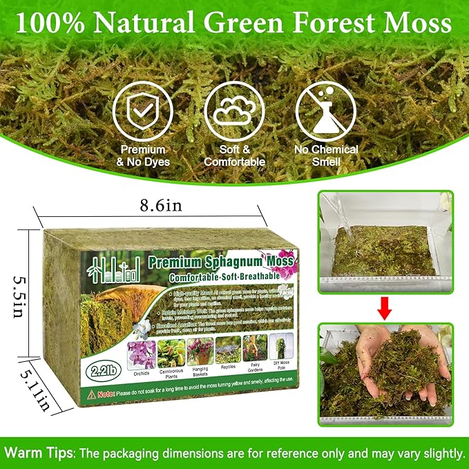 Halatool 2.2LB Premium Sphagnum Moss for Plants 50QT Green Moss for Plants Indoor Potted Orchid Moss for Repotting Succulent Carnivorous Terrarium Gardening Reptiles
