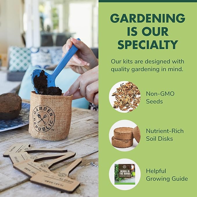 Indoor Herb Garden Starter Kit - Heirloom Non-GMO Herb Seeds - Basil Thyme Parsley Cilantro Seed Potting Soil Pots Scissors - DIY Grow Kits for Growing Herbs Indoors Kitchen Balcony Window Sill
