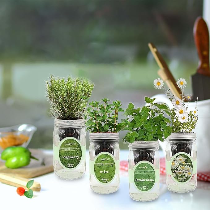 Hydroponic Mason Jar Organic Herbal Tea Seed Starter Kits - Herbal Tea Garden Growing Kits Gardening Gift Grow Your Own Herbal Teas Indoor (Chamomile Mint Lemon Balm Rosemary)