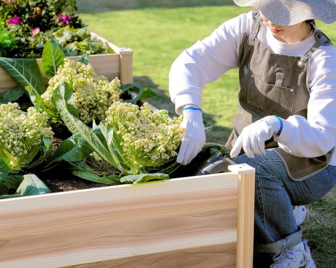 AMERLIFE 12x12x2 FT Wooden Raised Garden Bed H-Shaped Planter Box with Double-Layer Design 180 Cu. Ft Capacity for Outdoor Patio &amp Backyard