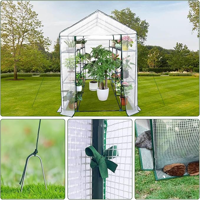 Walk-in Greenhouse for Outdoors Small Green House Outdoor with 3-Tier Shelves Roll-Up Zippered Door &amp Mesh Window All-Season Plant House for Vegetables Herbs Flowers for Patio Backyard Gardenin
