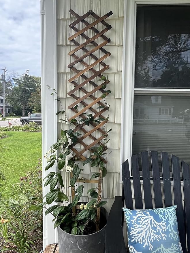 Expandable Wooden Lattice Trellis Outdoor Decorative Fence Panels for Climbing Plants Vine Ivy Rose Support Balcony Wall Decor Yard Landscape Edging Patio Divider Animal Barrier (3 Pack)