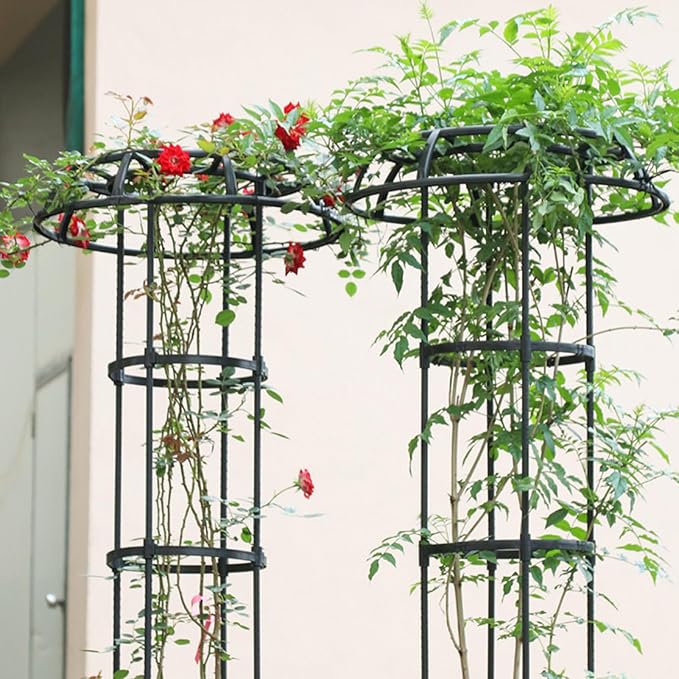 FLEXMAN Garden Trellis for Climbing Plants 50cm Diameter Climbing Vine Frame Round Garden Trellis Tomato Cages for Climbing Vines Rose Bushes Indoor Potted Plants Tomatoes (3 Tier)