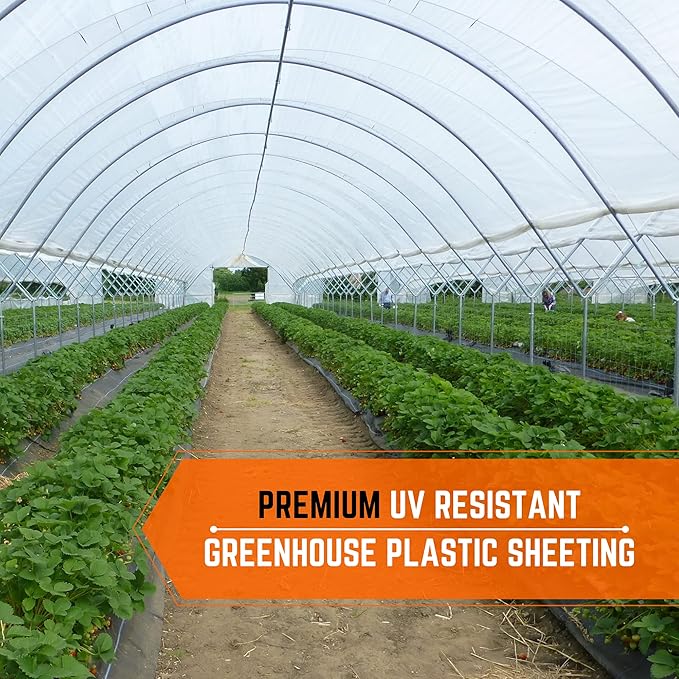 Farm Plastic Supply - Clear Greenhouse Plastic Sheeting - 6 mil - (25' x 15') - 4 Year UV Resistant Polyethylene Greenhouse Film Hoop House Green House Cover for Gardening Farming Agriculture