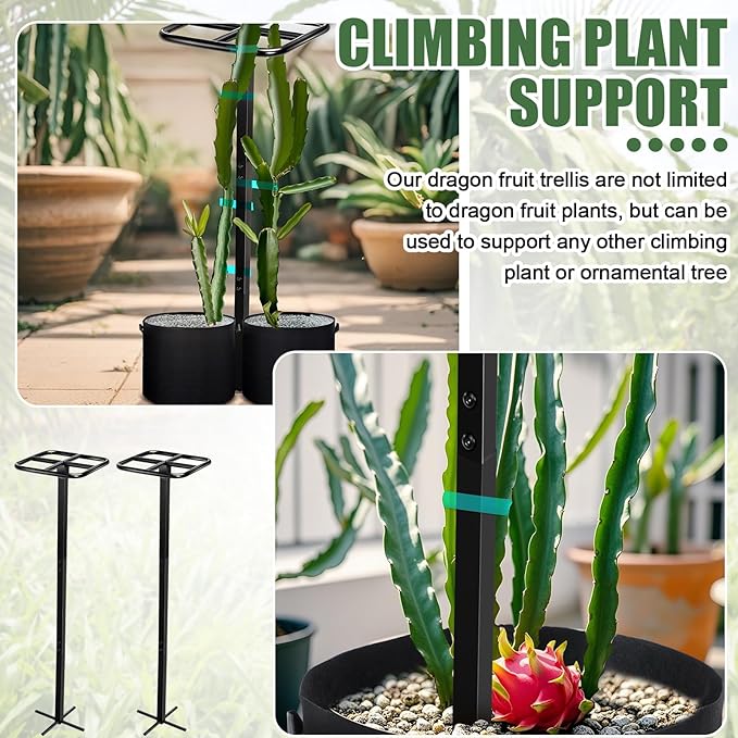 8 Pcs 12 x 48 Inch Dragon Fruit Plant Trellis with 20 Gallon Grow Bags and Wide Stretch Ties for Vertical Gardening Dragonfruit and Vining Plants