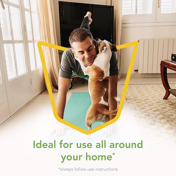 Raid Essentials Multi-Insect Killer Spray Bottle Child &amp Pet Safe for Indoor Use 12 oz (Pack of 3)