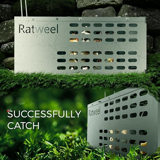 2 Pack Humane Rat Trap Live Mouse Trap Indoor Catch and Release Animal Cage Multi Large Bait Outdoor Reusable Chipmunk Mice Voles Rodent That Work (2)