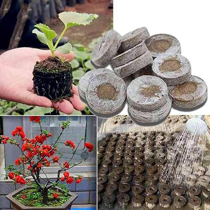 220 Pcs Professional Peat Pellets Plant Starting Soil Block Seedling Plugs Environmental Garden Nursery
