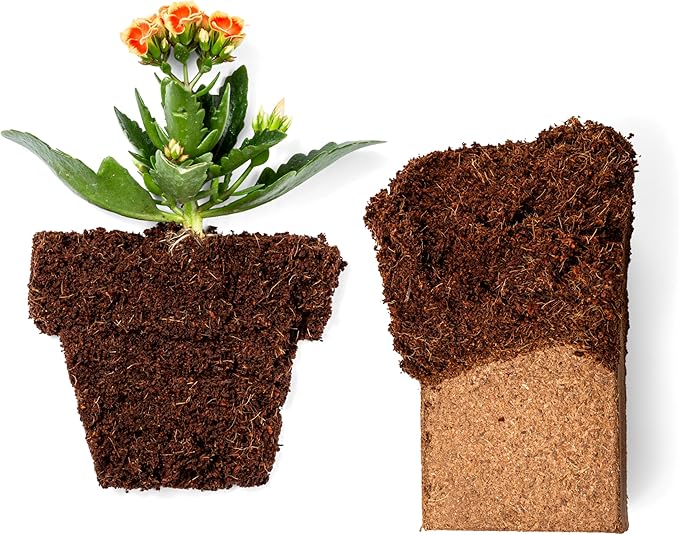 Coco Coir 650gm Bricks (5-Pack) + Worm Bliss (1 Gallon) - Organic Coco Coir for Plants &amp Worm Castings for Plants - Coconut Coir Bricks - Earthworm Castings Worm Fertilizer - Garden Soil Potting M