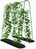 Cucumber Trellis - 62.4*50 Cucumber Trellis for Raised Bed with Plastic-Coated Steel Pipe U-Shape Garden Trellis for Climbing Plants Garden Trellis for Cucumbers Beans(Green)