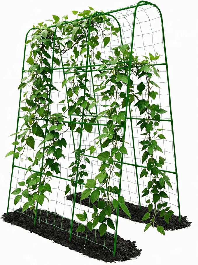 Cucumber Trellis - 62.4*50 Cucumber Trellis for Raised Bed with Plastic-Coated Steel Pipe U-Shape Garden Trellis for Climbing Plants Garden Trellis for Cucumbers Beans(Green)