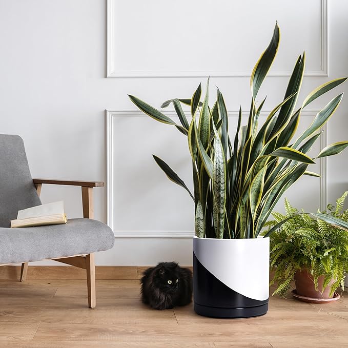 D'vine Dev 12 Inch Ceramic Planter Pot with Drainage Hole and Saucer Indoor Cylinder Round Planter Pot Oblique Monochrome Black and White 94-O-F-K