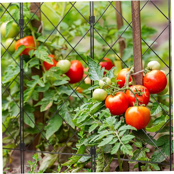 BESPORTBLE Gardening Support Bracket Vegetables Garden Trellis for Climbing Plants Outdoor Pea Growing Trellis Stands Foldable Plant Stand Pea Trellis Lattice Folded Folding Easy