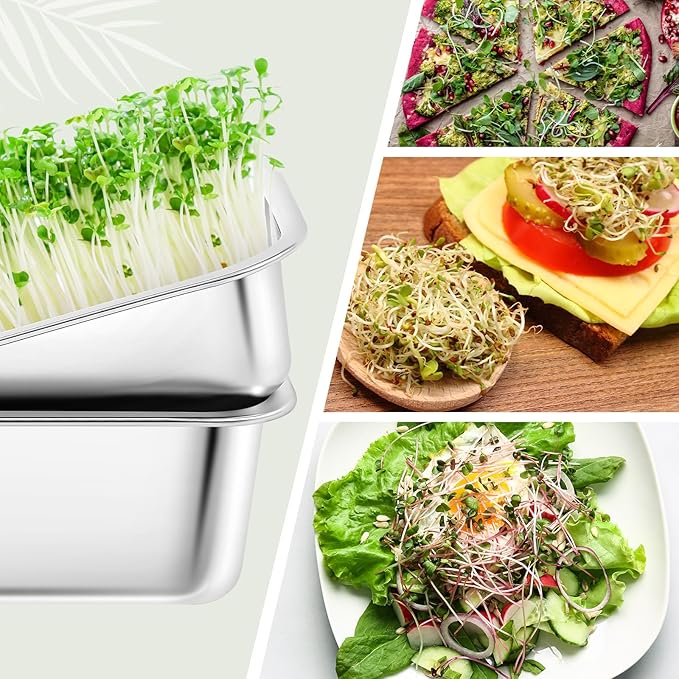 Vesici 4 Pack Sprouting Tray Kit Stainless Steel Soil Free Cultivation Germination Tray Wheatgrass Growing Container Seed Sprouting Container Kit for Indoors Plant Seed Beans Broccoli Arugula