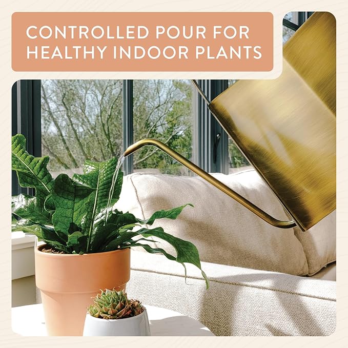 Modern Sprout Brass Finish Plant Watering Can - 3L Capacity - Long Spout Stainless Steel Vessel for Outdoor &amp Indoor Plants - Rust Resistant - Garden Accessory for Houseplants &amp Decorative Use