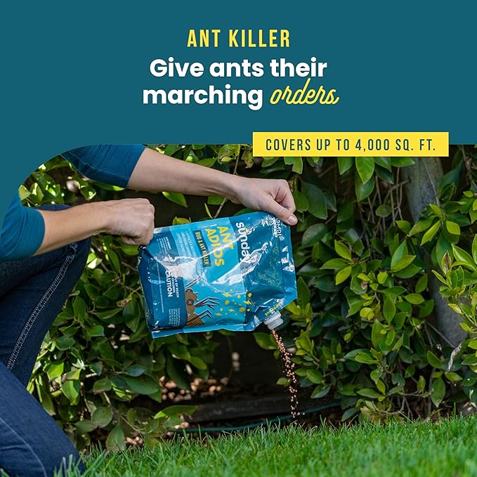 Sunday Ant Adios - Bug &amp Ant Killer - Outdoor Insect Control Uses Spinosad to Eliminate Ants Earwigs Cutworms &amp More - Treats 4000 sq ft - Results in 3-14 Days - 2 Pack 2lbs