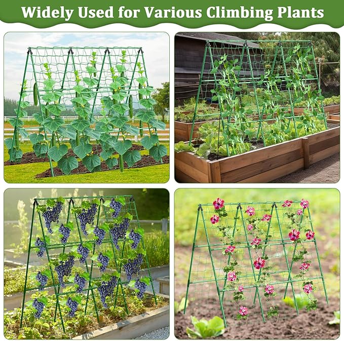Cucumber Trellis for Raised Bed 50x 54 inch A-Frame Garden Trellis for Climbing Plants Outdoor Metal Arch Trellis with Netting Vegetables Trellis for Grape Pea Bean