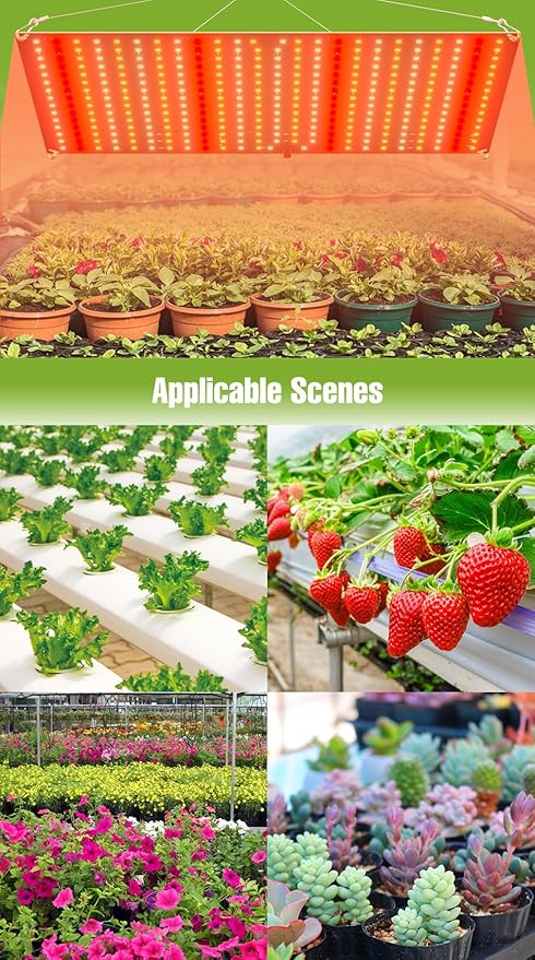 2Pack 800W LED Plant Lamps 100-277V Greenhouse Tent Hydroponic Sunlight Grow Fill Light UV/IR Full Spectrum Indoor Seedings Cultivation Lights 110V Sunlike Sapling Vege Fruit Flower Moss Succulent