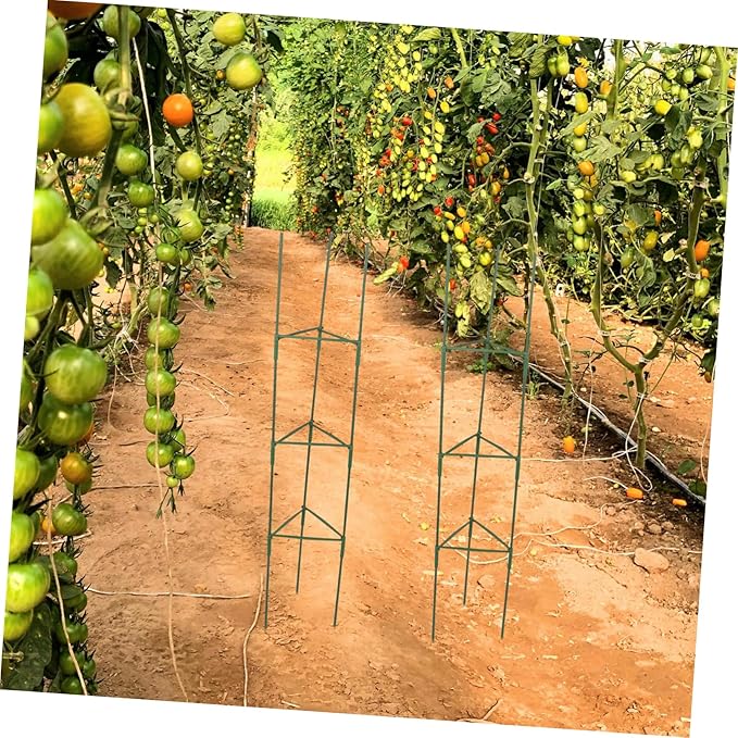 3-Pack Tomato Stand Trellis for Indoor Plants Garden Trellis Rack Plant Support Rack Potted Plant Trellis Climbing Plant Support