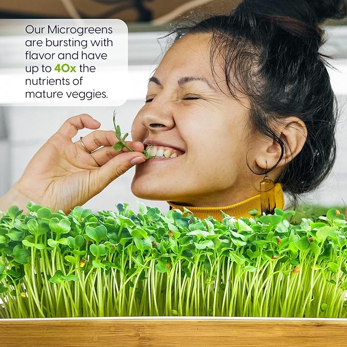 ZESTIGREENS Organic Self-Watering Microgreens Growing Kit – Reusable Indoor Grow Tray with Organic Seeds Grow Mats &amp Bamboo Frame – Easy No-Soil Microgreens Starter Kit (Broccoli &amp Salad Mix)