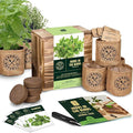 Indoor Herb Garden Starter Kit - Heirloom Non-GMO Herb Seeds - Basil Thyme Parsley Cilantro Seed Potting Soil Pots Scissors - DIY Grow Kits for Growing Herbs Indoors Kitchen Balcony Window Sill
