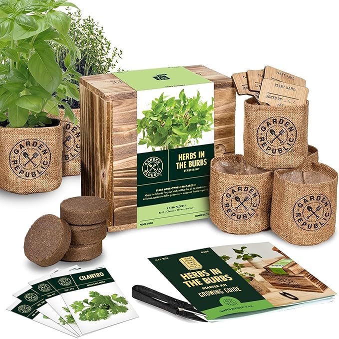 Indoor Herb Garden Starter Kit - Heirloom Non-GMO Herb Seeds - Basil Thyme Parsley Cilantro Seed Potting Soil Pots Scissors - DIY Grow Kits for Growing Herbs Indoors Kitchen Balcony Window Sill