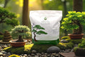 Bonsai Soil Mix with Akadama Pumice Lava Rocks and Organic Coco Coir for Tree Growth and Maintenance