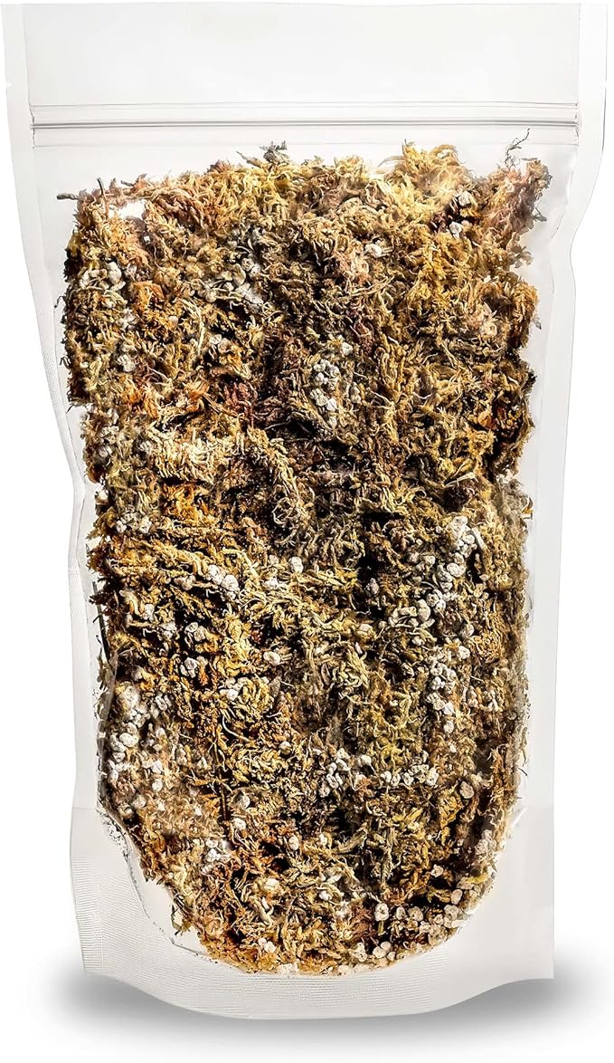 GARDENERA Sphagnum Moss Potting Mix for Carnivorous Plants Moss and Perlite Blend for Potting Venus Fly Traps Sarracenia Pitcher Plants - 75% Sphagnum Moss + 25% Perlite - Made in USA - 3 Quart