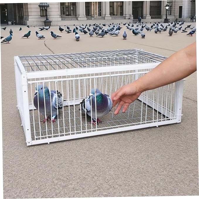 Pigeon Trap Bird Trap with One-Way Access Entrances &amp Skylight 16x12x10 Inch Metal Pigeon Cage for Farms Barns Gardens Doves Breeding