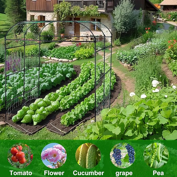 Garden Arch Trellis for Climbing Plants Outdoor Grape Vine Tomato Bean U Frame Plant Vegetable Support Cucumber Pergola for Backyard Black
