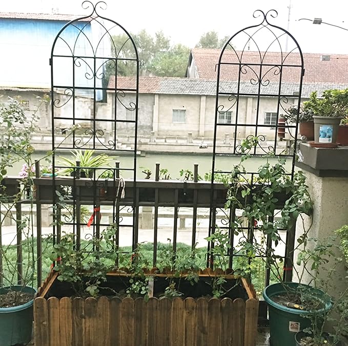 2 Pack Metal Garden Trellis 71 x 19.7 Inches Rustproof Black Plant Support for Climbing Vines Roses Peas Cucumbers Beans Clematis Jasmine and More