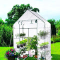 yeesport 56x56x76Inch PE Cover for Walk-in Greenhouse with Roll-Up Zip Panel Door PE Replacement Cover for Gardening and Growing Plants Outdoors with Front Roll-Up Zipper Entry Door (White)