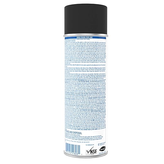 Diversey 5814919 Skidoo Institutional Flying Insect Killer II Kills Flies Gnats Mosquitoes Wasps &amp More Aerosol Bug Spray 15-Ounce