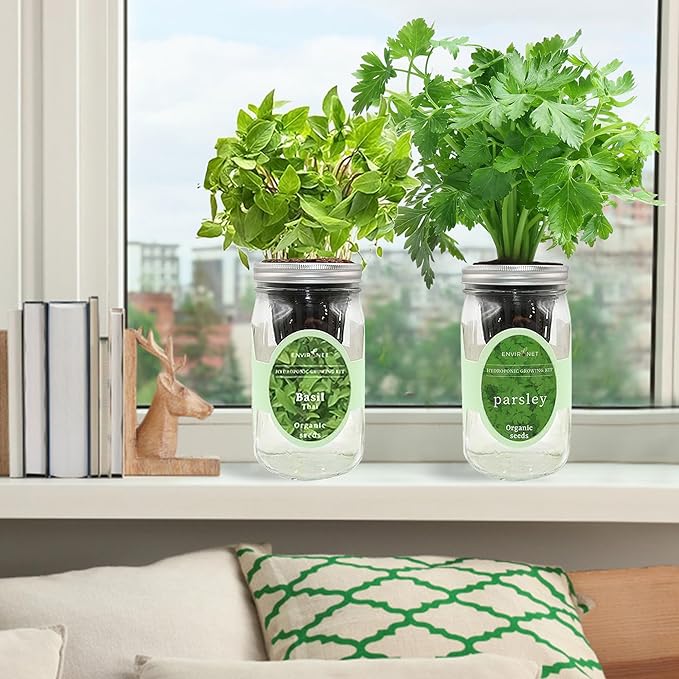 2-Pack Hydroponic Mason Jar Herb Garden Kit Indoor Herb Garden Self-Watering Starter Kit (Thai BasilParsley)