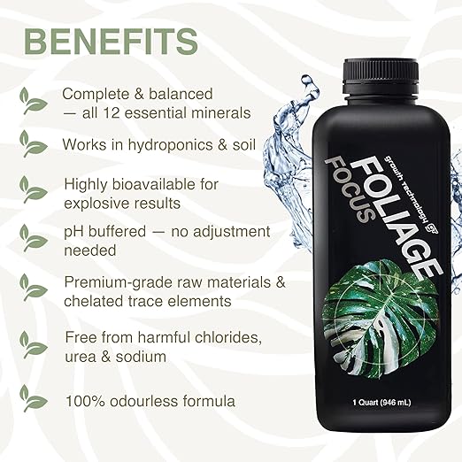 Growth Technology GT Foliage Focus - Liquid Indoor Plant Food for Houseplants Tropical Plants Aroids Ferns and Palms – Concentrated Formula for Vibrant Leaves and Dense Foliage – 1 Quart (946 mL)