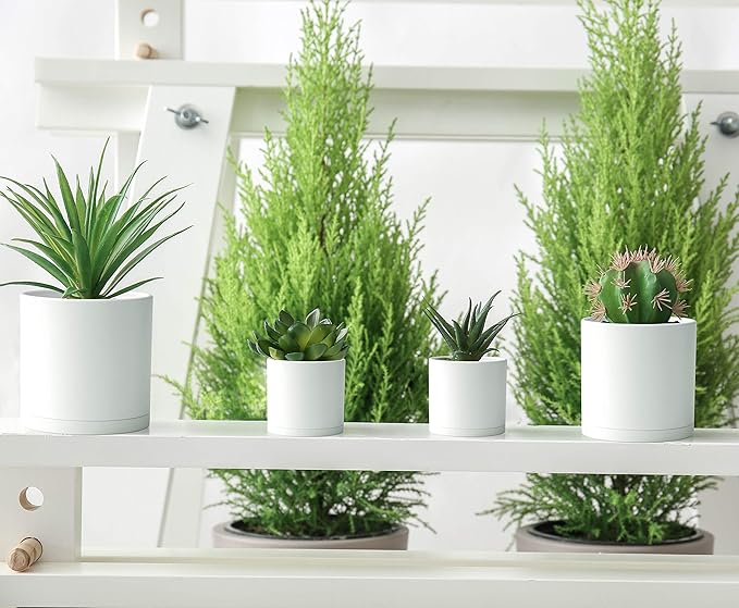 D'vine Dev 10 Pack Plastic Plant Pots for Plants 6.5/6/5.5/5/4.5/4/3.5/3/2.5/2 Inch Indoor Planters Cylindrical Succulent Pot with Drainage Hole and Saucer White 74-S-A