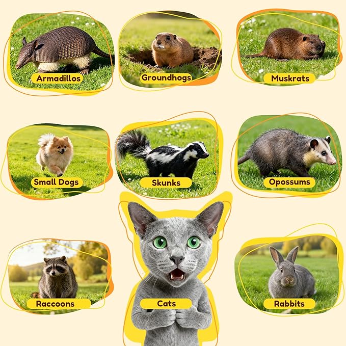 32 Inch Animal Trap CageFolding Live Animal Trap Cage for Stray CatsRaccoonsArmadillos and Rabbits
