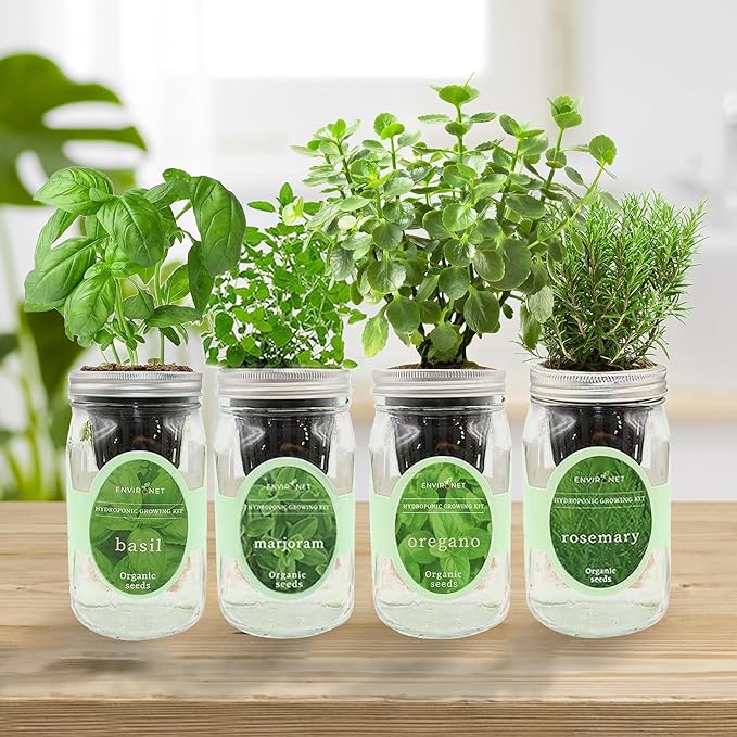 Hydroponic Mason Jar Indoor Garden Organic Seed Starter Kits - Italian Herb Blend Growing Kits Windowsill Herb Garden Gardening Gift (Basil Marjoram Oregano Rosemary)