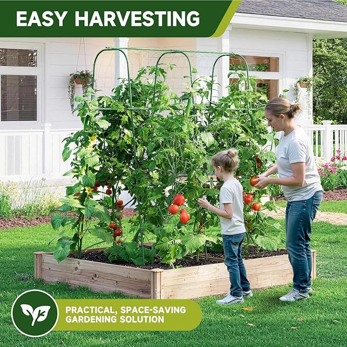 HIRALIY Cucumber Trellis for Climbing Plants Outdoor 5.25ft Tall Heavy Duty Metal Garden Arch Trellis Rustproof Plant Support Tunnel for Tomato Grape Bean Raised Bed and Vegetable Gardens Green