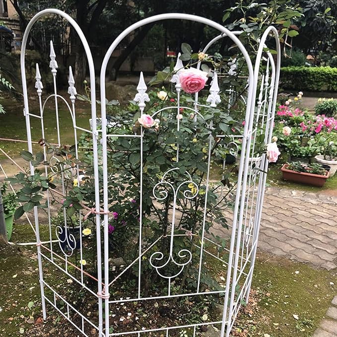 Garden Trellis Plant Trellis for Potted PlantsMetal Plant Support Structure for Outdoor Vegetables Fruits Flowers Vines(Color:WhiteSize:180cm(70.9 inches))