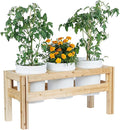 Greenes Fence Three Bucket Elevated Cedar Wood Garden Frame 43 in. x 16 in. x 20 in. - Made in USA with North American Cedar