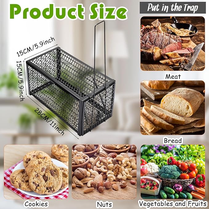 Qualirey 2 Pcs Humane Rat Trap Chipmunk Rodent Mouse Squirrel Trap 11 x 6 x 6 Inches Small Live Animal Mouse Voles Hamsters Live Cage Rat Cage for Mice Easy to Catch and Release Black